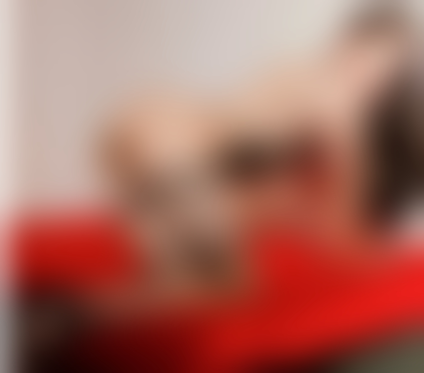 Escorts North Yorkshire Middlesbrough - Photos for ❤️🔥zoey sexy thai ladyboy ✅ new in Middlesbrough
